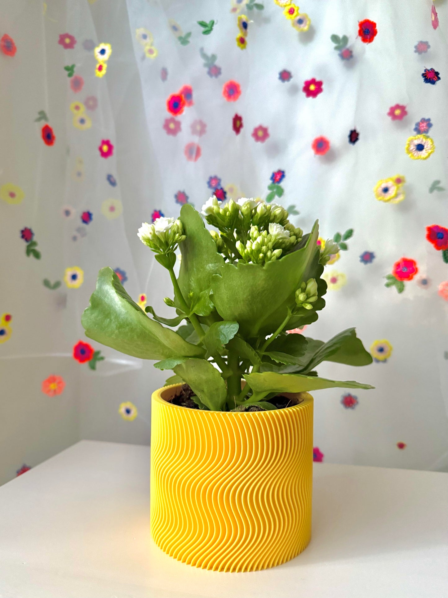 Japandi planter